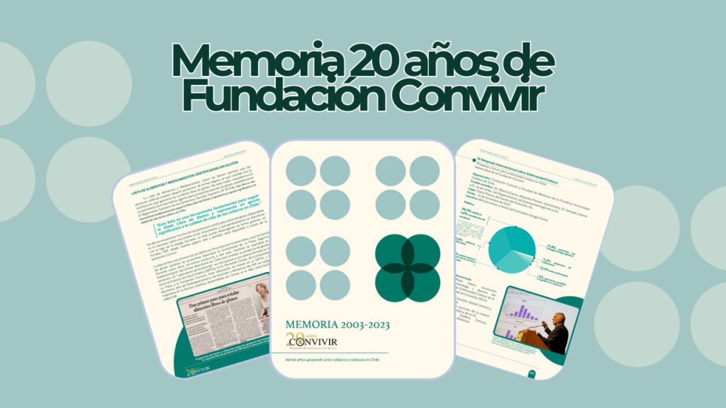 Memoria 20 años de Fundación Convivir